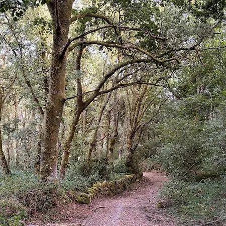 Casa Do Camino Hébergement de vacances *